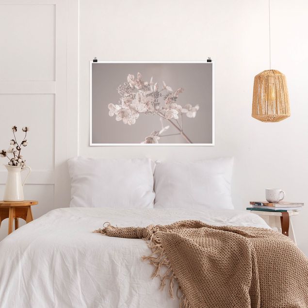 Wanddeko Schlafzimmer Zarte weiße Hortensie
