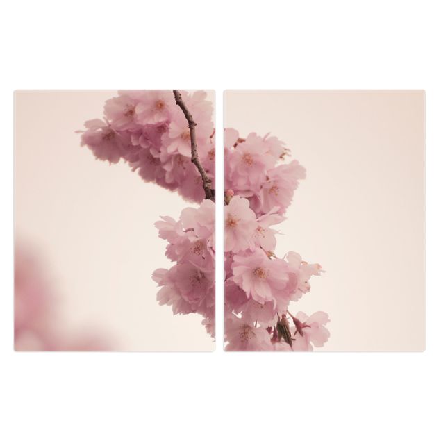Deko Fotografie Zartrosane Frühlingsblüte mit Bokeh