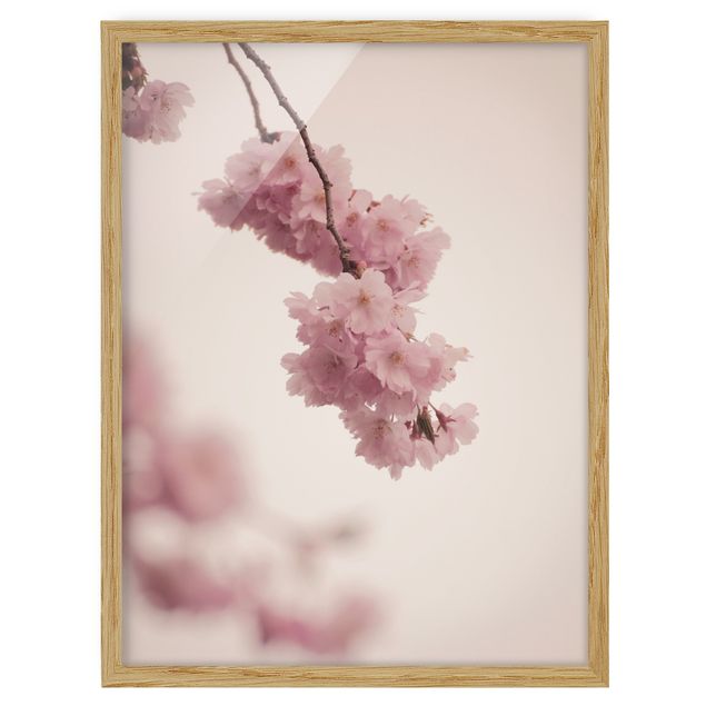 Wanddeko Esszimmer Zartrosane Frühlingsblüte mit Bokeh