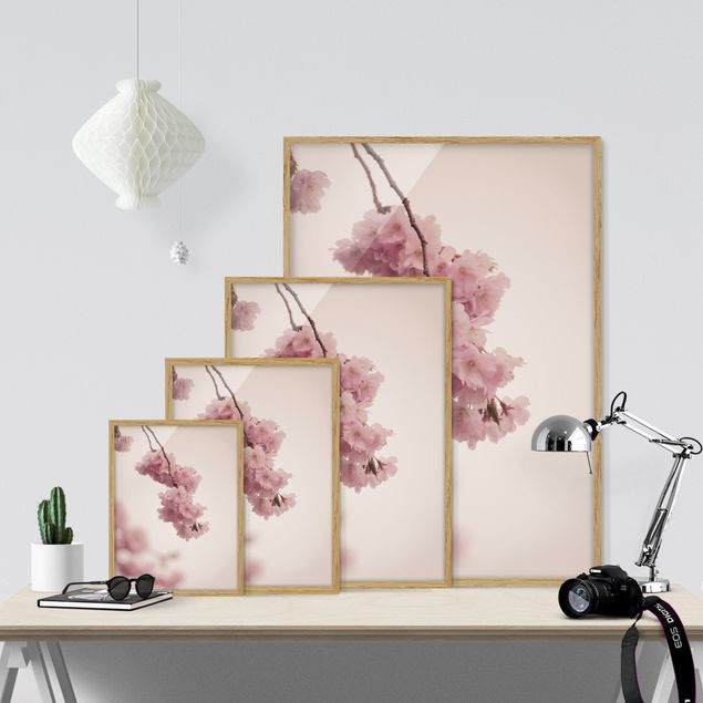 Wanddeko Kirschblüte Zartrosane Frühlingsblüte mit Bokeh