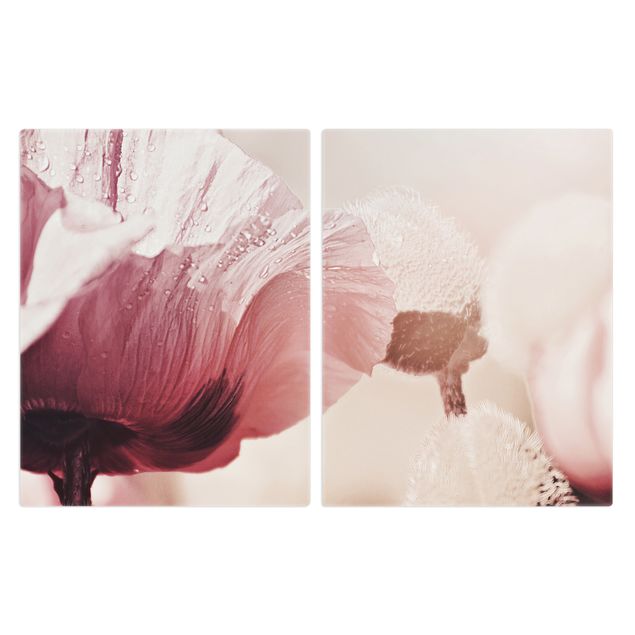 Deko Fotografie Zartrosane Mohnblüte mit Wassertropfen