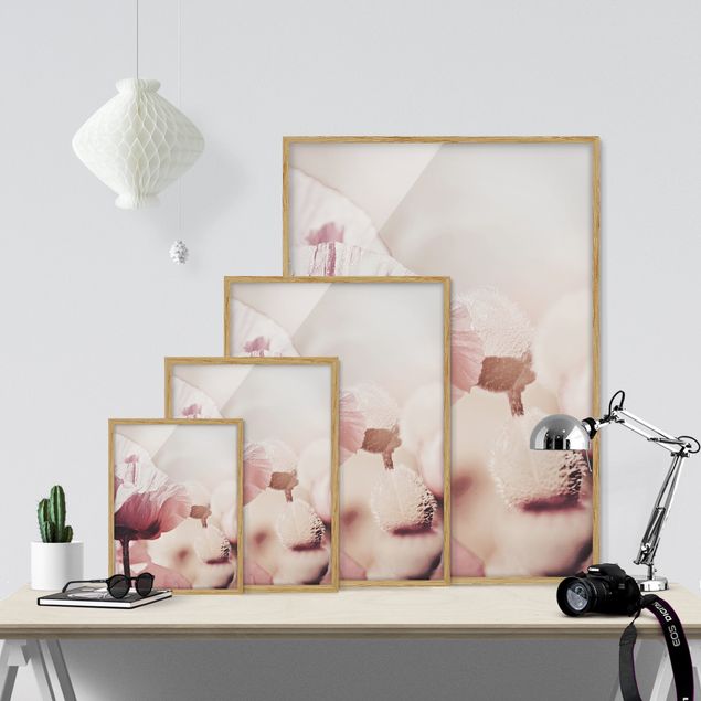 Wanddeko Esszimmer Zartrosane Mohnblüte mit Wassertropfen