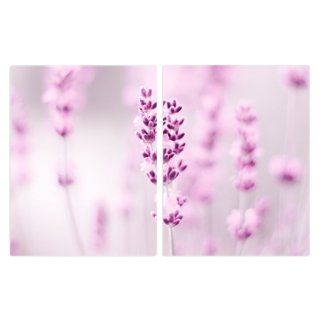 Wanddeko Fotografie Zartvioletter Lavendel