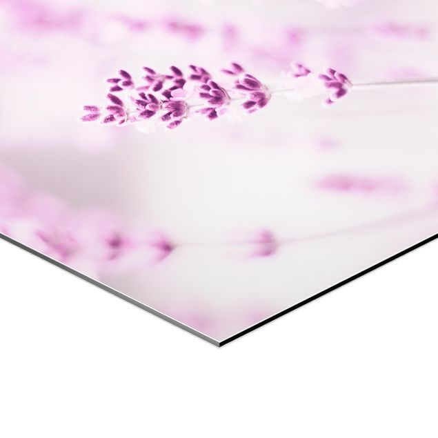 Wanddeko über Sofa Zartvioletter Lavendel