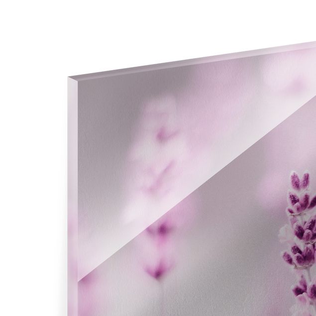Wanddeko Treppenhaus Zartvioletter Lavendel