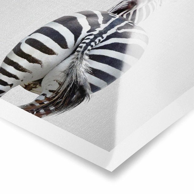 Wanddeko über Bett Zebra von hinten