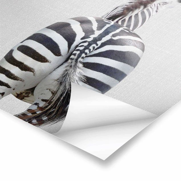 Wanddeko schwarz-weiß Zebra von hinten