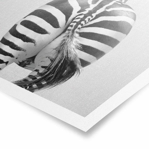 Wandbilder Zebras Zebra von hinten Schwarz Weiß