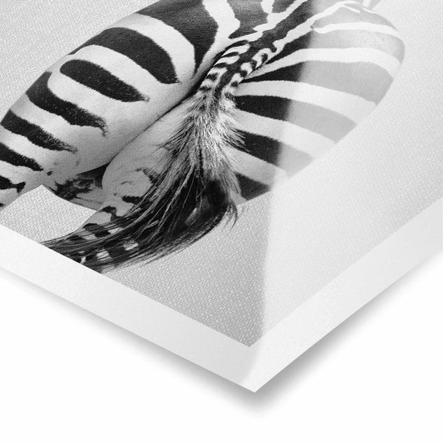 Wanddeko über Bett Zebra von hinten Schwarz Weiß
