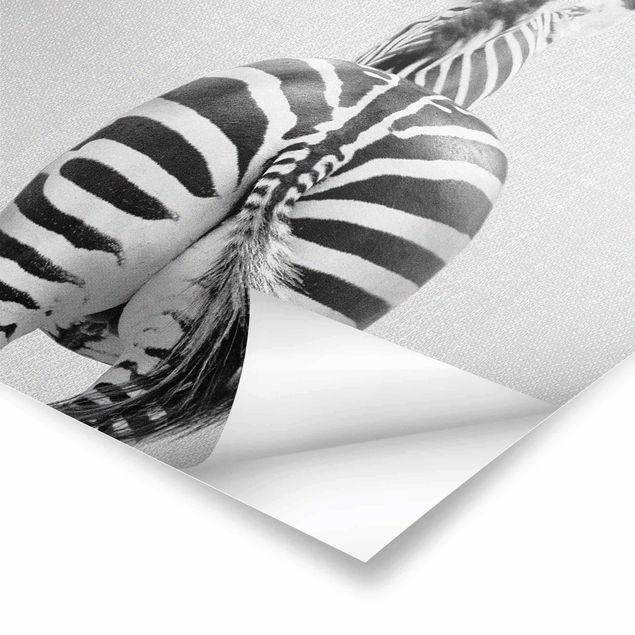 Wanddeko schwarz-weiß Zebra von hinten Schwarz Weiß