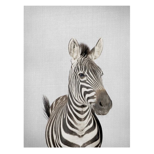 Zebra Leinwand Zebra Zilla