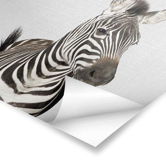 Wanddeko schwarz-weiß Zebra Zilla