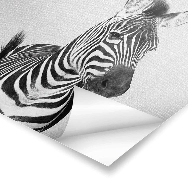 Wanddeko schwarz-weiß Zebra Zilla Schwarz Weiß