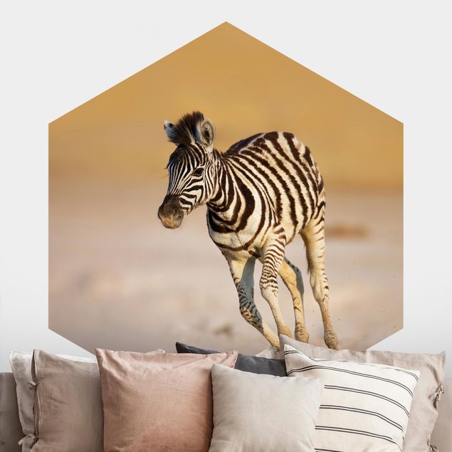 Wohndeko Afrika Zebrafohlen