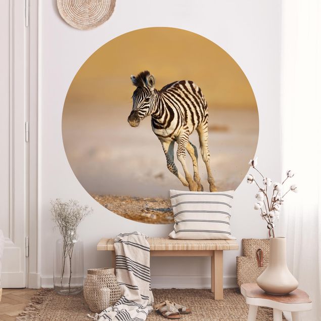 Deko Afrika Zebrafohlen
