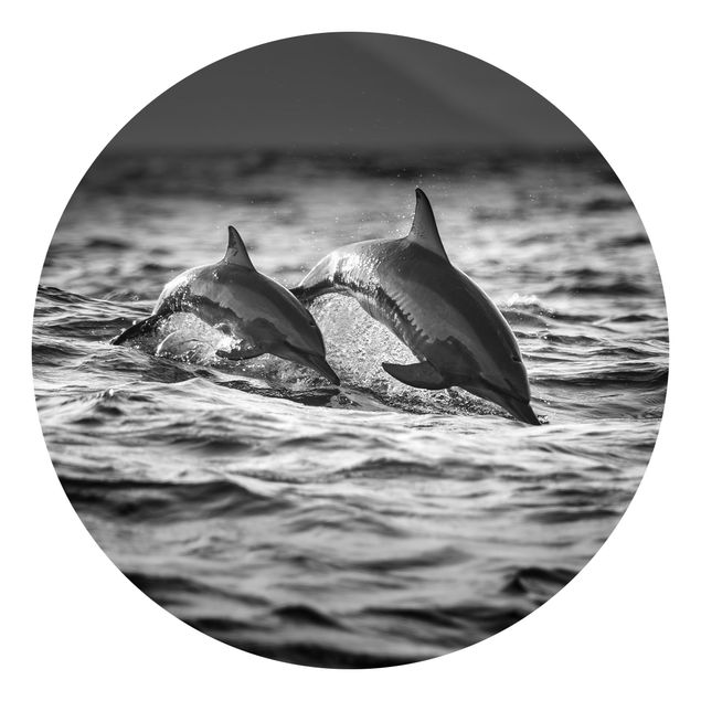 Wanddeko Flur Zwei springende Delfine